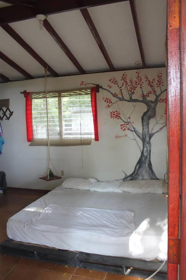 Free Spirit Hostel Transito Exterior foto